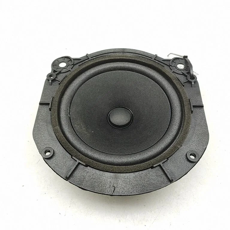 Skaļrunis (-ņi) aizmugurējās durvīs 105070900B