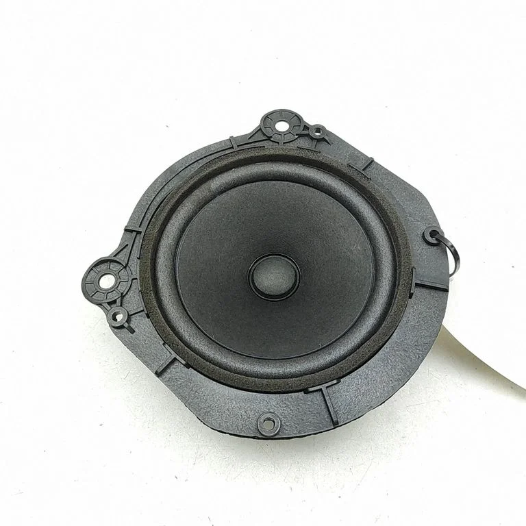 Skaļrunis (-ņi) aizmugurējās durvīs 105070900B