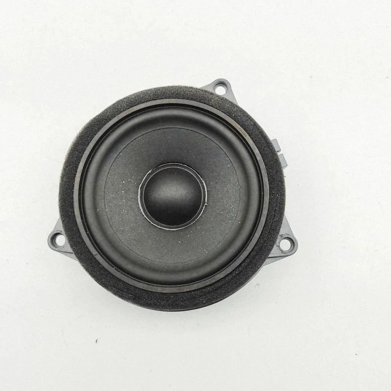 Tagaukse kõlar(id) 6809629