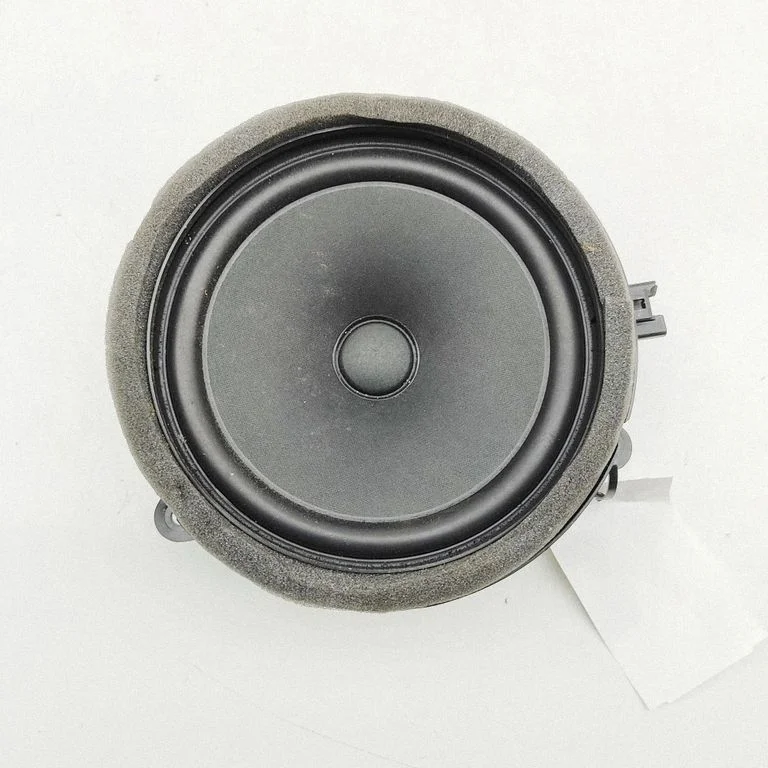 Tagaukse kõlar(id) 32212429