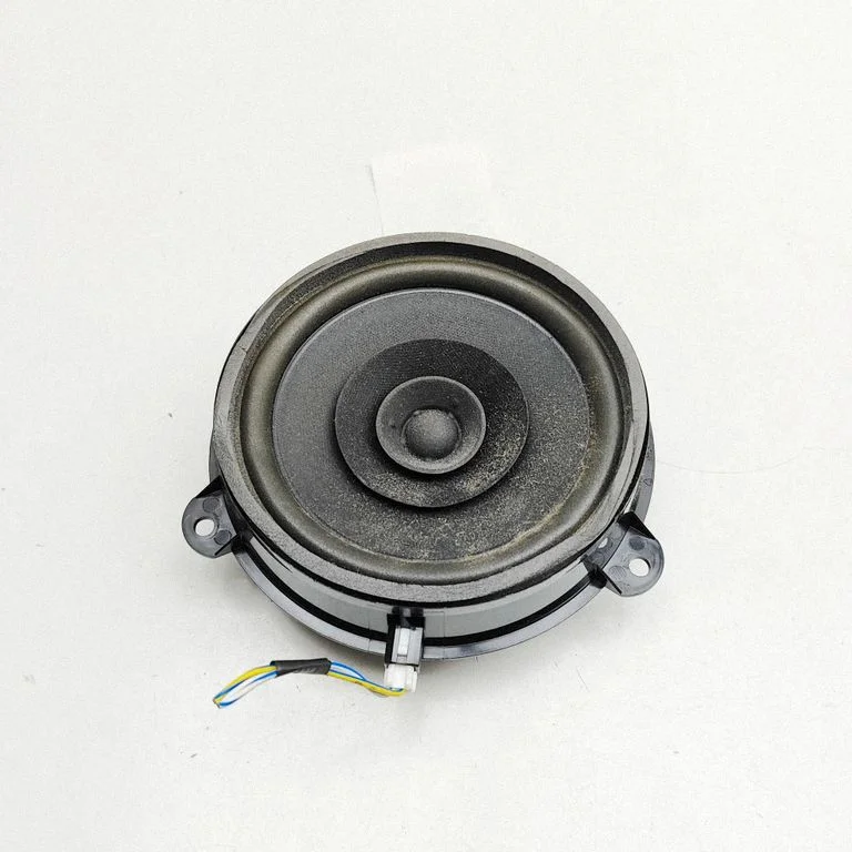 Skaļrunis (-ņi) aizmugurējās durvīs 1X4318808AC