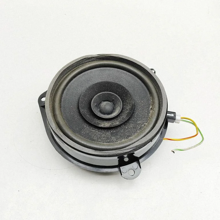 Skaļrunis (-ņi) aizmugurējās durvīs 1X4318808AC