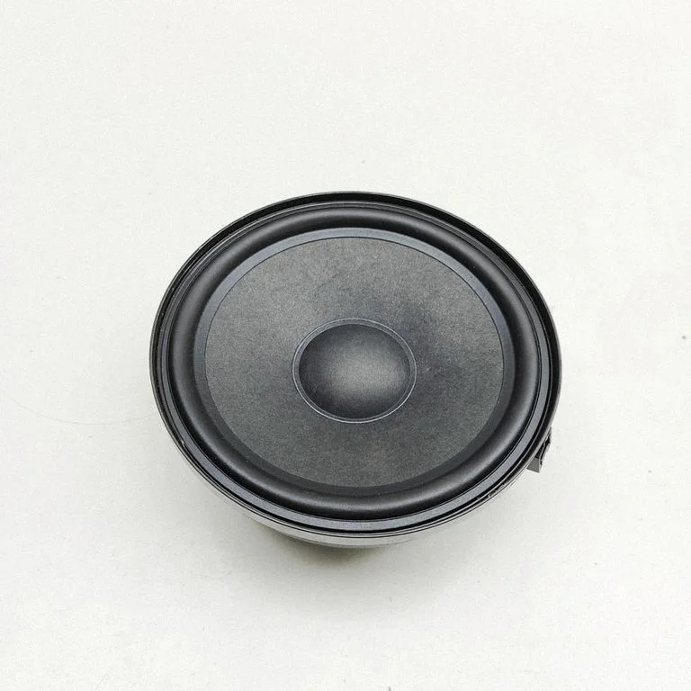 Skaļrunis (-ņi) aizmugurējās durvīs A2478201502