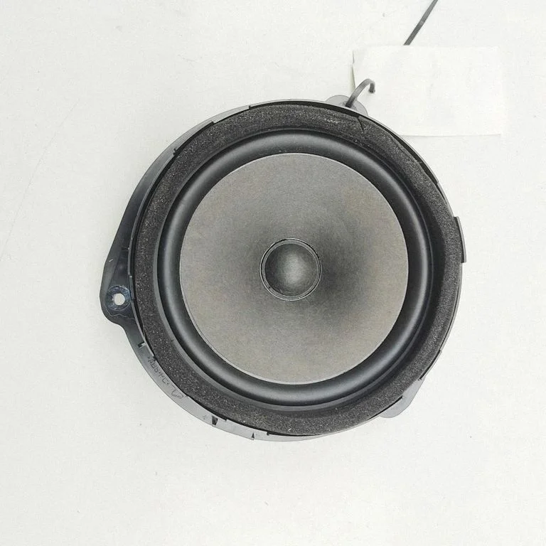 Tagaukse kõlar(id) 8V4035411C