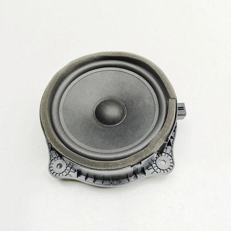 Rear door speaker FM2970300007A – Fisker Ocean (2022-2024)