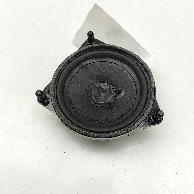 Rear door speaker A2138201000