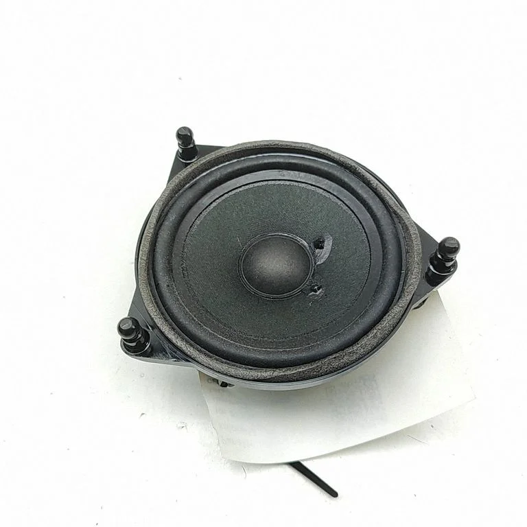 Rear door speaker A2138201000