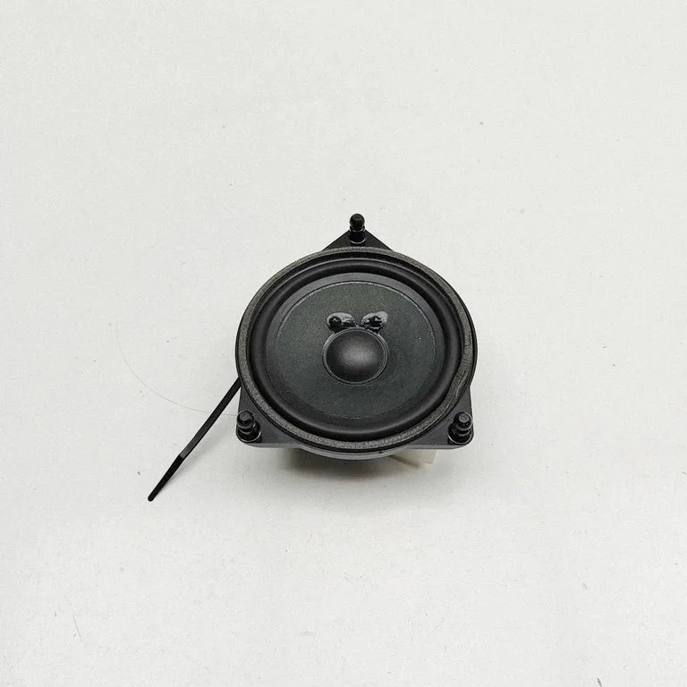 Skaļrunis (-ņi) aizmugurējās durvīs A2138201000