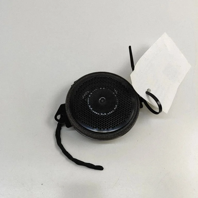 Rear door speaker FM2970300087A – Fisker Ocean (2022-2024)