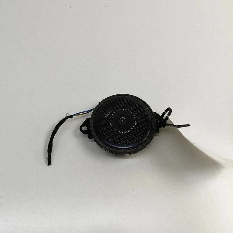 Rear door speaker FM2970300087A – Fisker Ocean (2022-2024)
