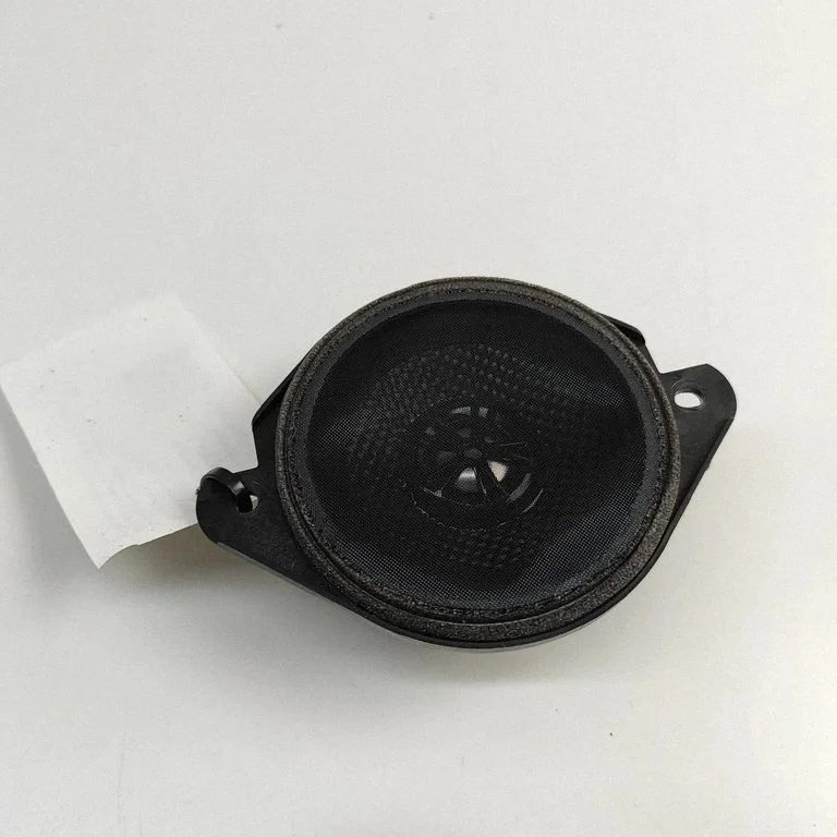 Rear door speaker FM2970300086A – Fisker Ocean (2022-2024)