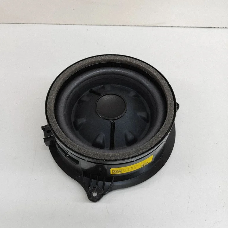 Skaļrunis (-ņi) aizmugurējās durvīs M9R318808NC
