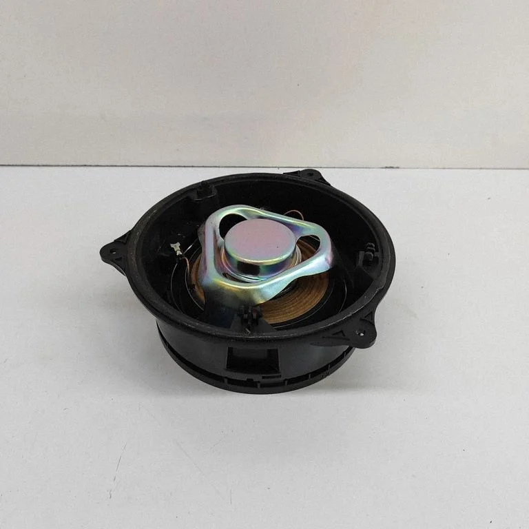 Skaļrunis (-ņi) aizmugurējās durvīs M9R318808NC