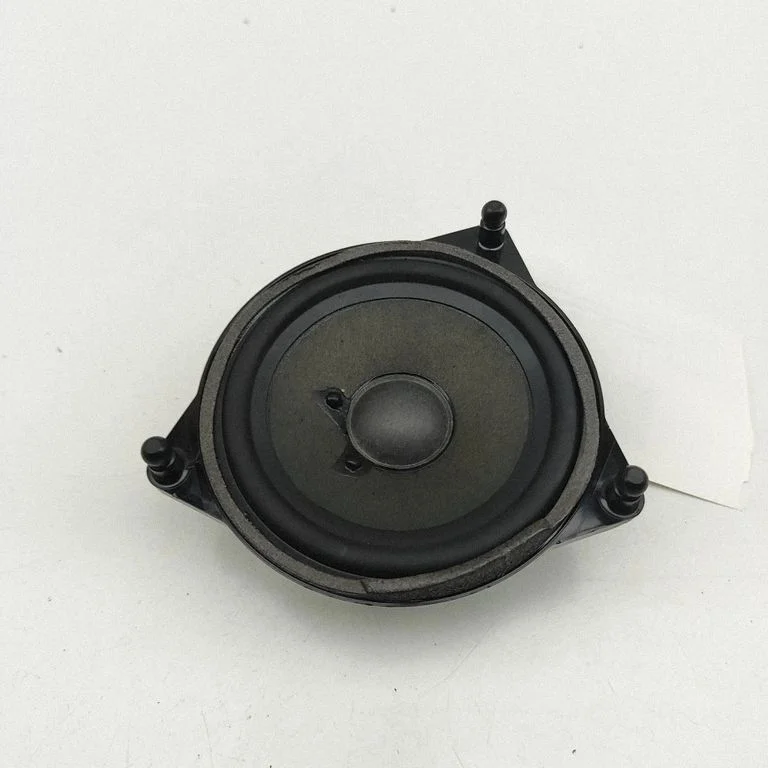 Skaļrunis (-ņi) aizmugurējās durvīs A2228200202