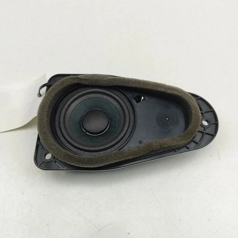 Tagaukse kõlar(id) 31489256