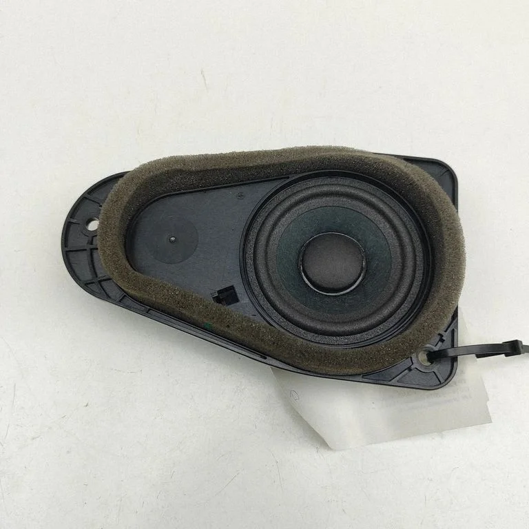 Tagaukse kõlar(id) 31489256