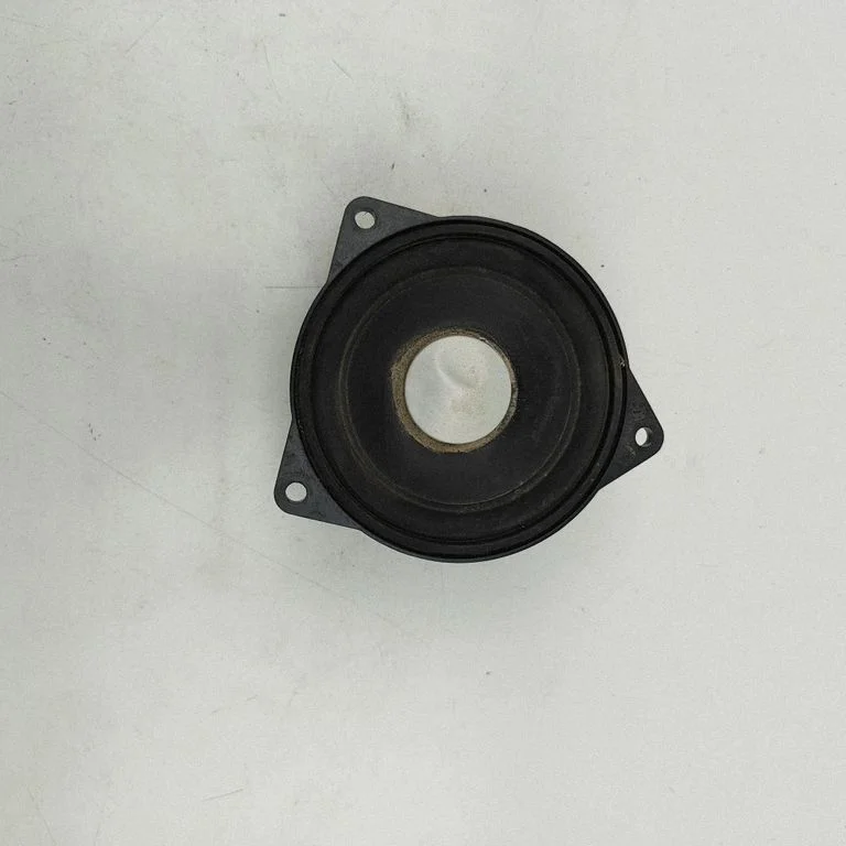 Skaļrunis (-ņi) aizmugurējās durvīs 9169690