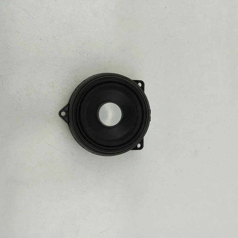 Skaļrunis (-ņi) aizmugurējās durvīs 9289965