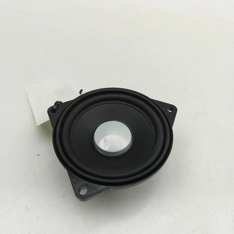 Rear door speaker 9169690