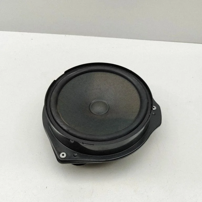 Rear door speaker A2048201902