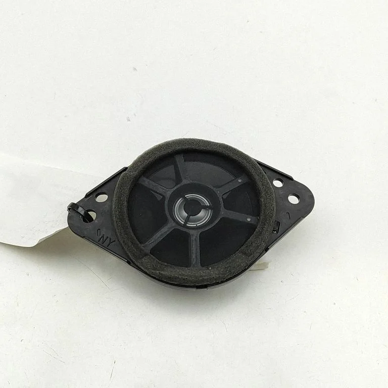 Skaļrunis (-ņi) aizmugurējās durvīs 8616048400