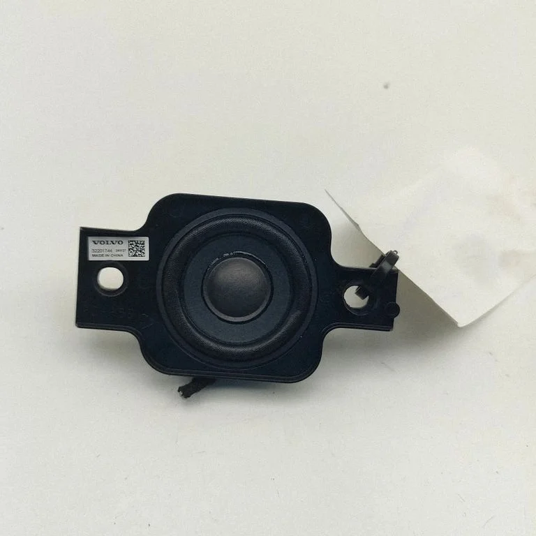 Rear door speaker
