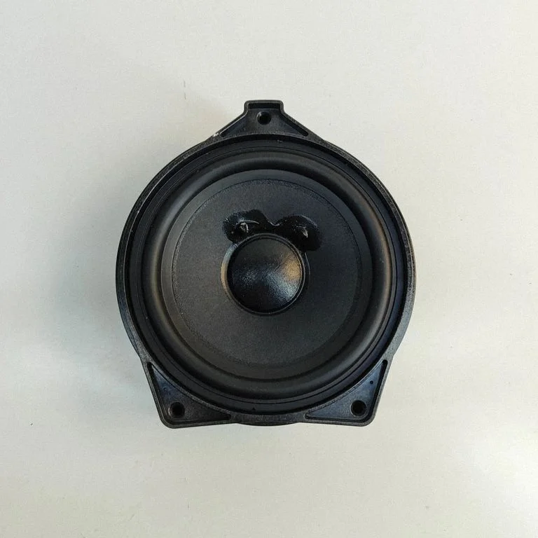 Rear door speaker A1678202701