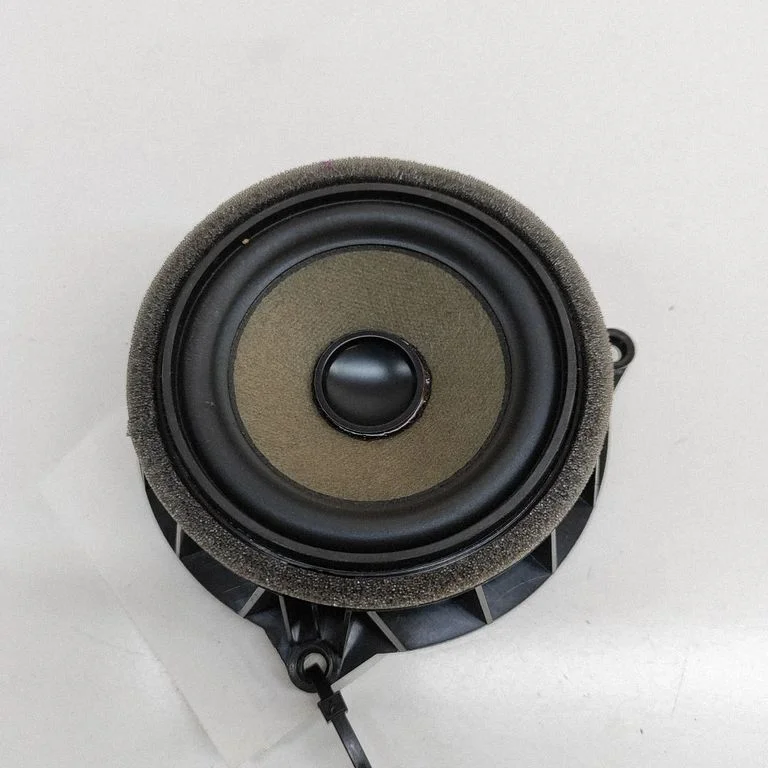 Skaļrunis (-ņi) aizmugurējās durvīs – BMW X5 E70 (2006-2013)