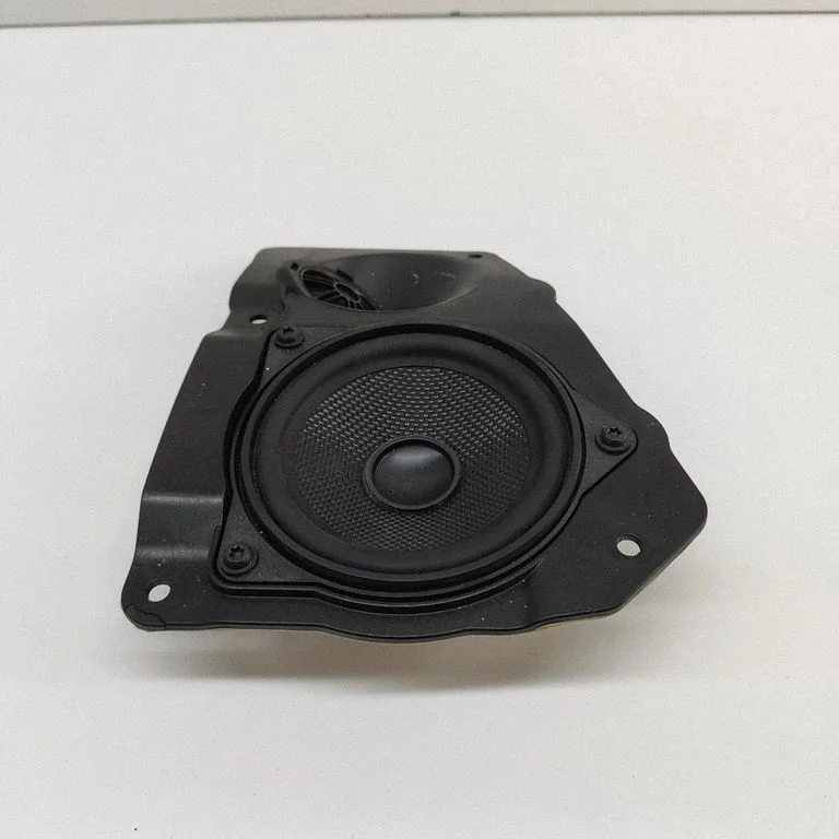 Skaļrunis (-ņi) aizmugurējās durvīs 4304078