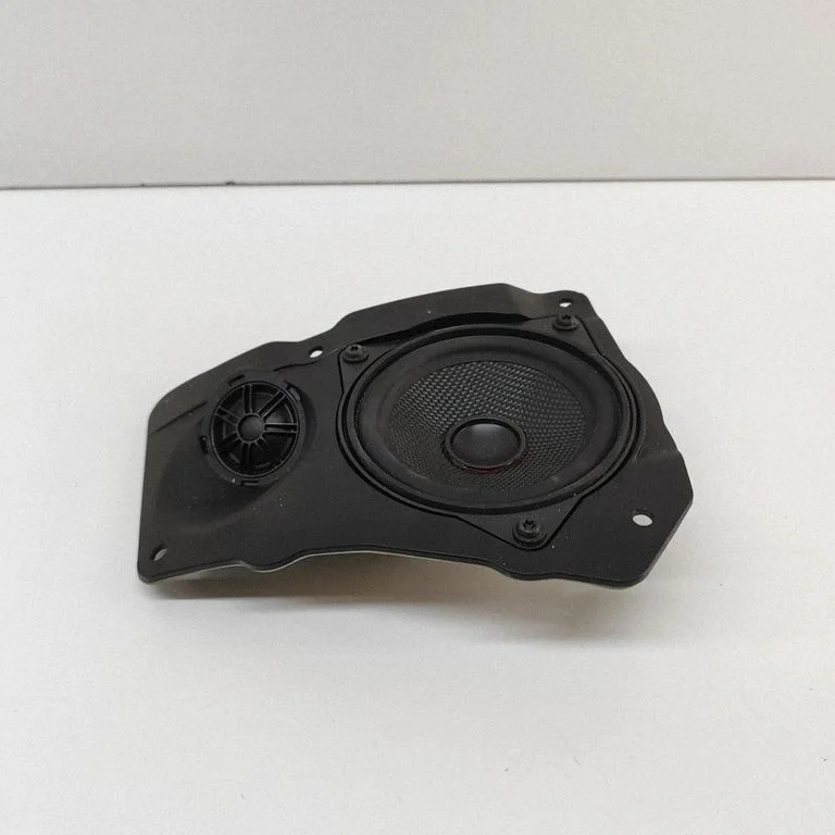 Skaļrunis (-ņi) aizmugurējās durvīs 4304078