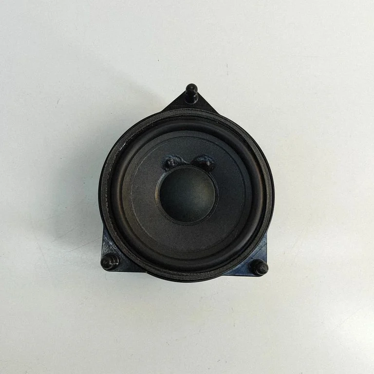 Rear door speaker A1678202801