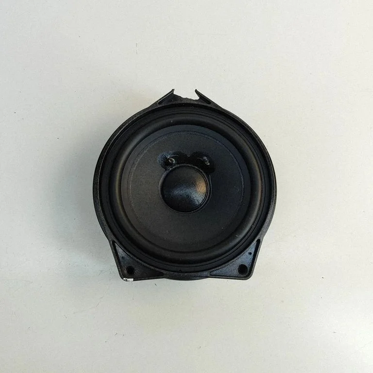 Rear door speaker A1678202701