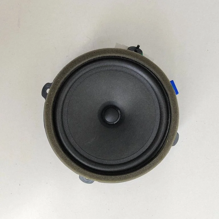 Rear door speaker