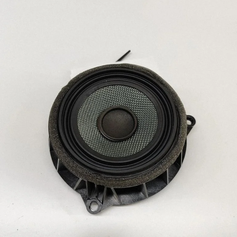Skaļrunis (-ņi) aizmugurējās durvīs – BMW X5 F15 (2013-2017)