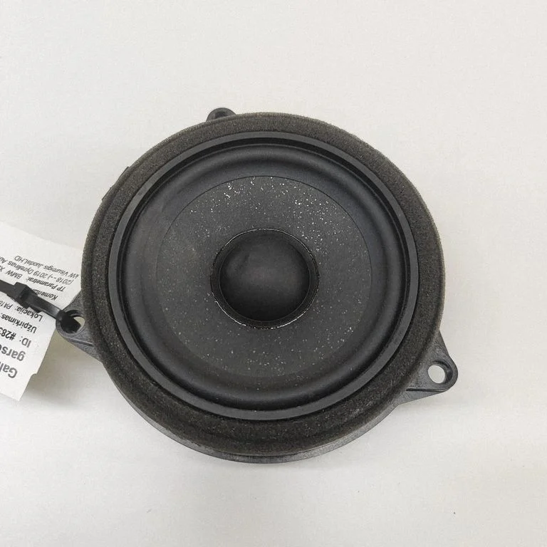 Tagaukse kõlar(id) 6809629
