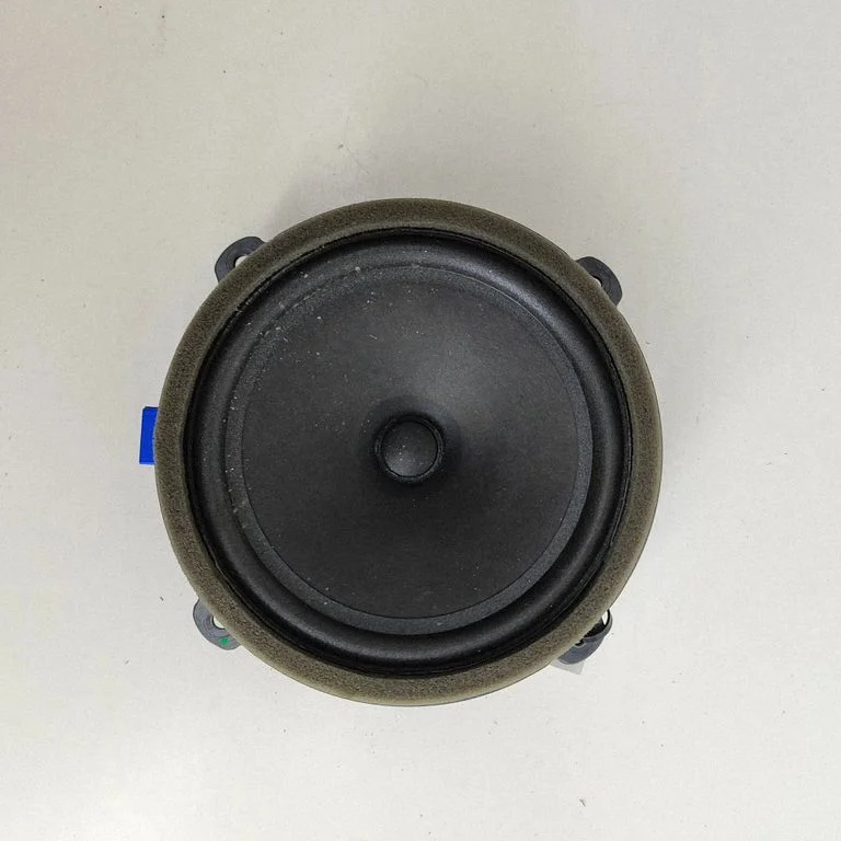 Rear door speaker