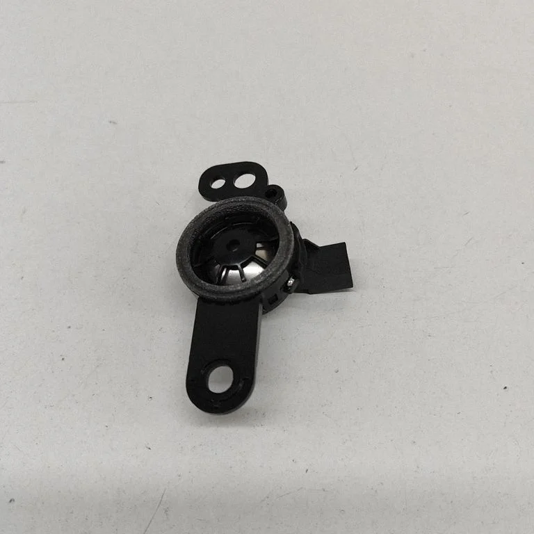 Garsiakalbis (-iai) galinėse duryse