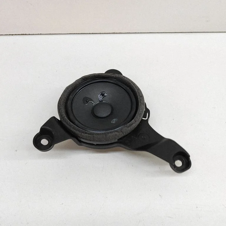 Skaļrunis (-ņi) aizmugurējās durvīs A2238201300