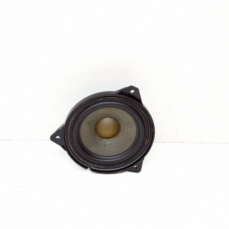 Skaļrunis (-ņi) aizmugurējās durvīs 8V0035416