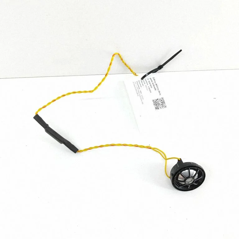 Skaļrunis (-ņi) aizmugurējās durvīs 9226357