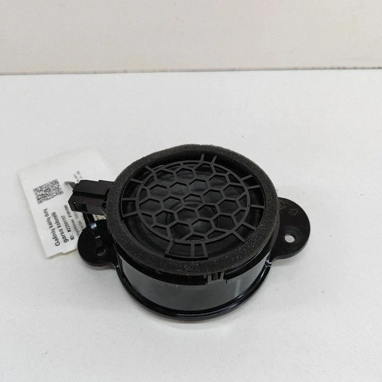 Skaļrunis (-ņi) aizmugurējās durvīs 8V4035709