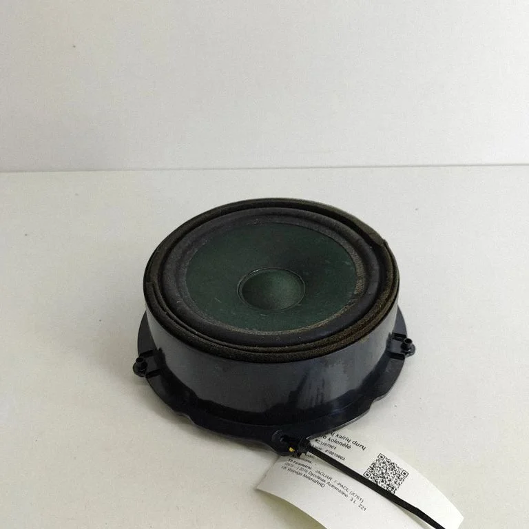 Skaļrunis (-ņi) aizmugurējās durvīs GX7318808CD