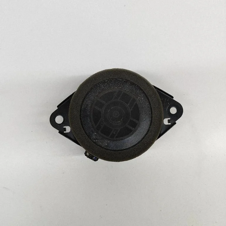Rear door speaker 861600WV80