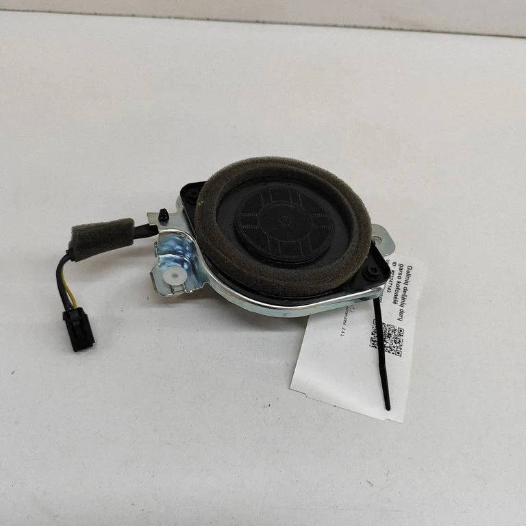Garsiakalbis (-iai) galinėse duryse