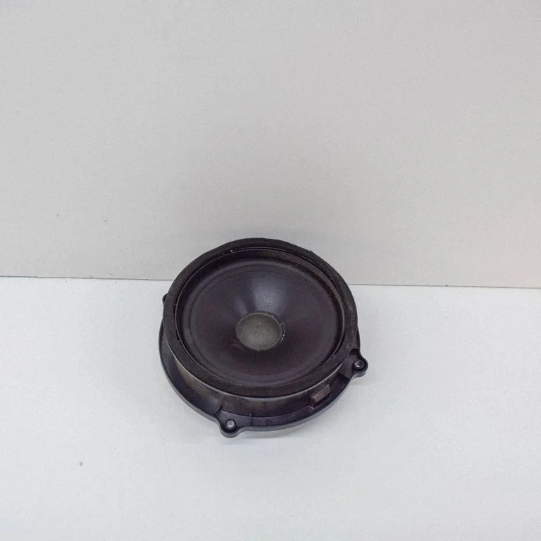 Skaļrunis (-ņi) aizmugurējās durvīs 165JM055