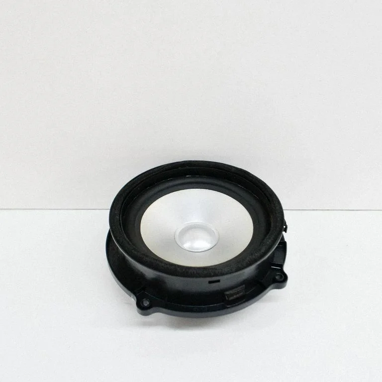 Skaļrunis (-ņi) aizmugurējās durvīs XQM500310