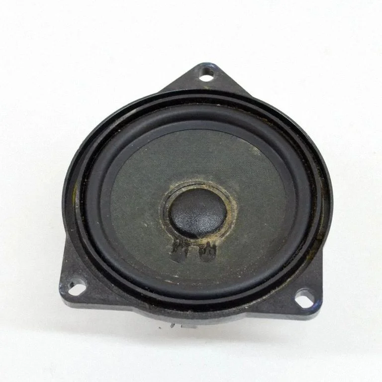 Skaļrunis (-ņi) aizmugurējās durvīs 90010005308