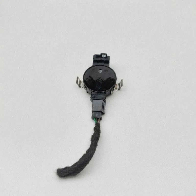Lietus sensors 8888998120