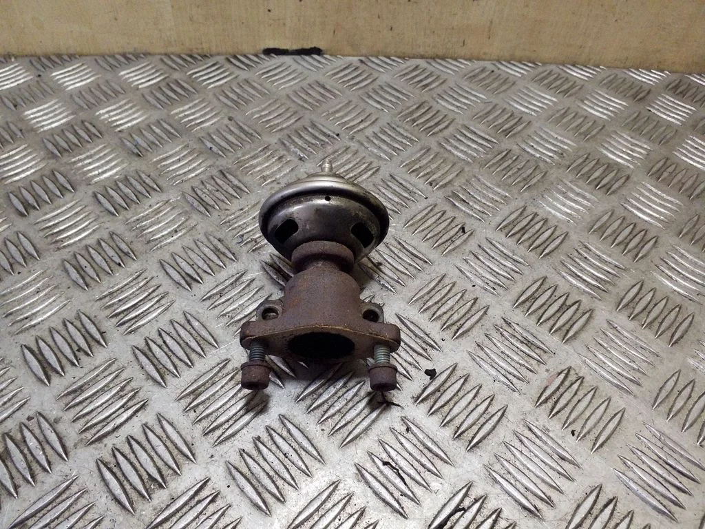 EGR-klapp 028131501E