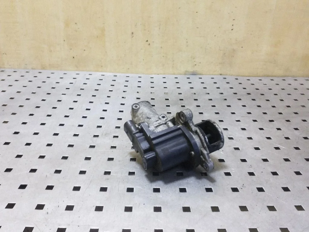 EGR-klapp 284102F000